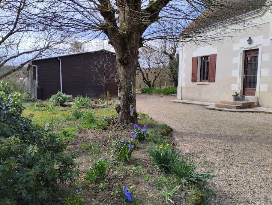Willa La Jolie Ruche Saint-Georges-sur-Cher Zewnętrze zdjęcie
