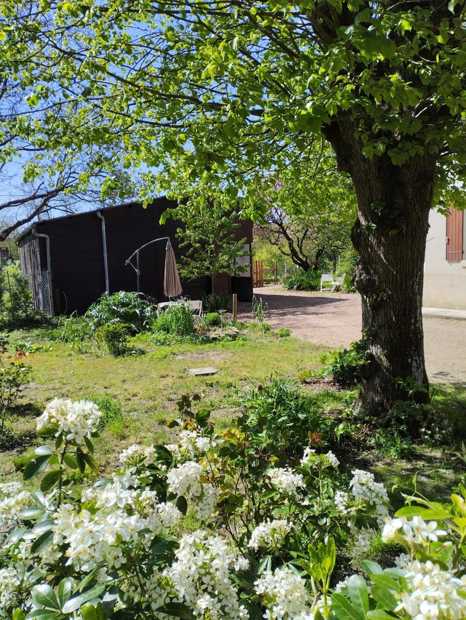 Willa La Jolie Ruche Saint-Georges-sur-Cher Zewnętrze zdjęcie